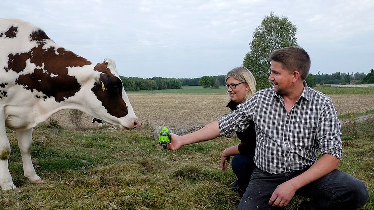 Kristian and Karolina Hårsmar with the innovation Moocall, which sends an alert when a cow is about to calve. It is one of four innovations to receive an Elmia Agriculture Innovation Award gold medal.