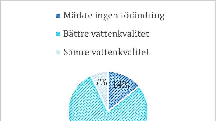 Bild5