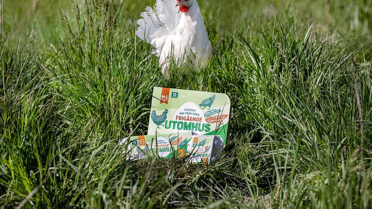 Garant först med ägg från höns med sojafritt foder