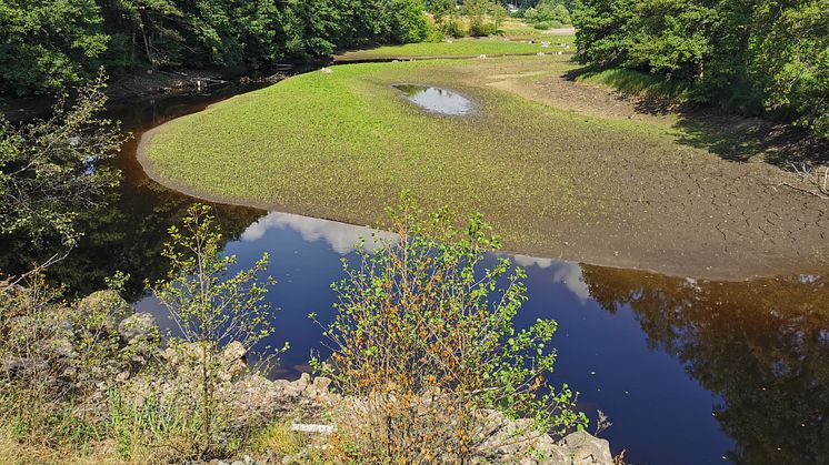 Snittingedammen Foto: Ronneby kommun