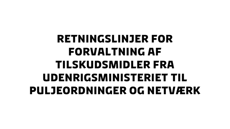 Udenrigsministeriets Retningslinjer.pdf