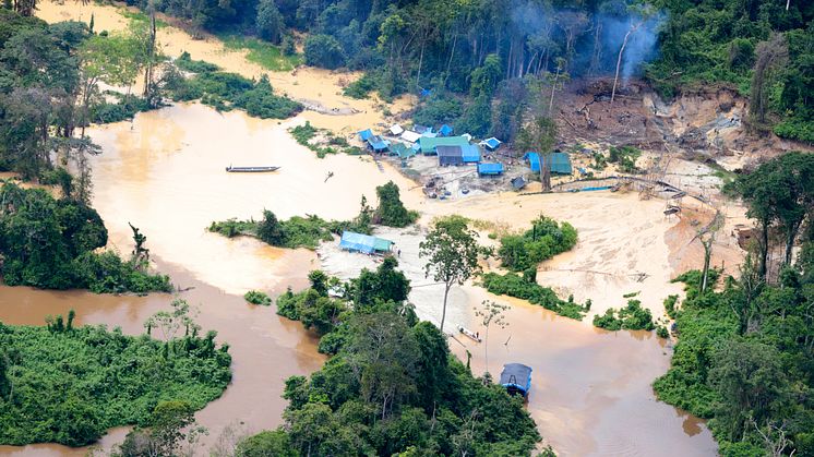 Brasiliens regering vil lovliggøre destruktiv rodrift som ulovlig minedrift som her på de oprindelige folk Yanomamis landområder. Foto af Greenpeace