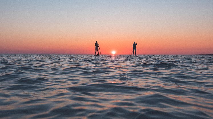 Stand Upp Paddle längs den halländska kusten - en populär utomhusaktivitet.