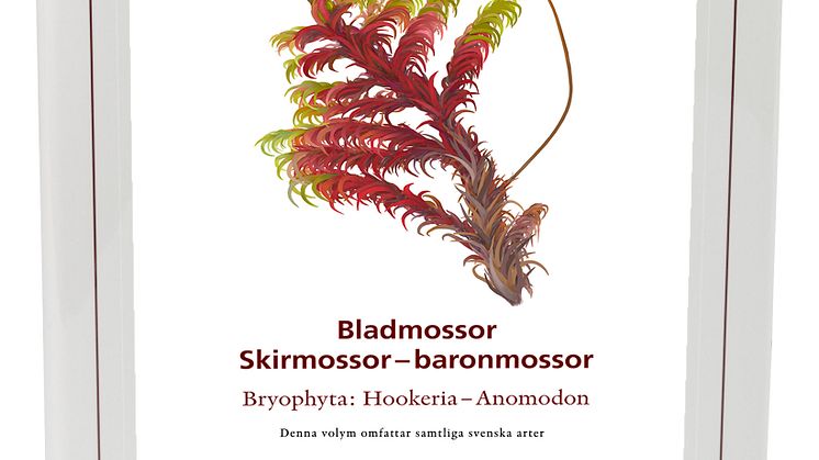 Nationalnyckeln bladmossor: skirmossor-baronmossor