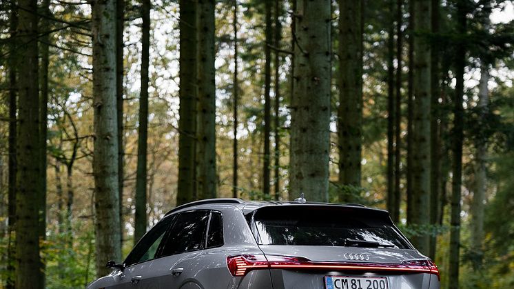 Audi e-tron (low res)