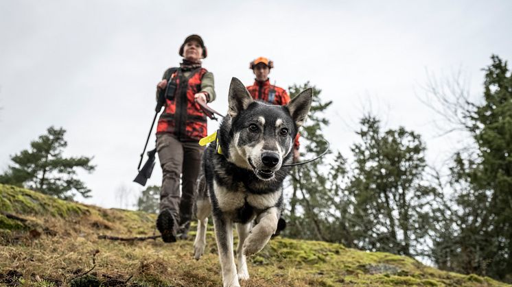 Garmin Alpha 200: Ny specialbygget, førsteklasses hundesporingsenhed