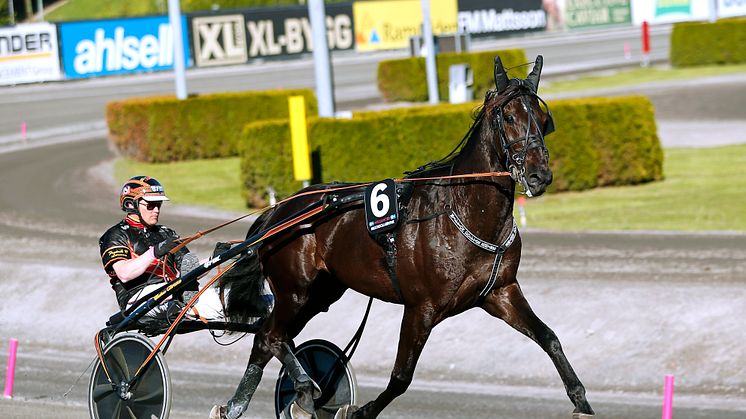 Milliondollarrhyme klar för Elitloppet 2021.