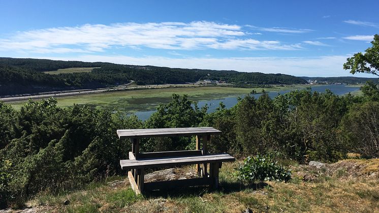 Perfekt för en fika. Mareberget i Mariebergs naturreservat.