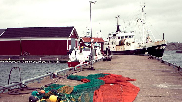 Kvoterna för 2016 års fiske i Västerhavet klara