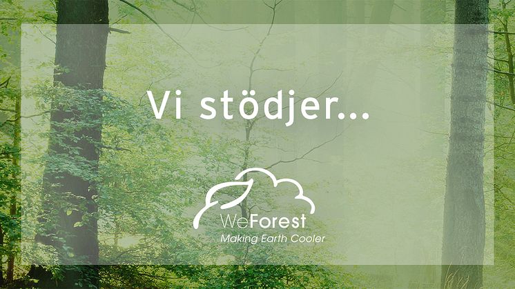 Kerstin Florian stödjer organisationen WeForest