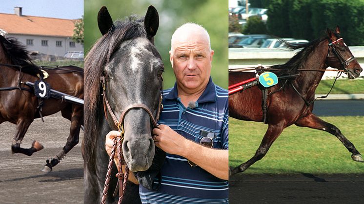 Julienne, Jan-Olov Persson med Järvsöfaks och Shan Rags