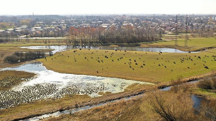 Gullåkra mosse