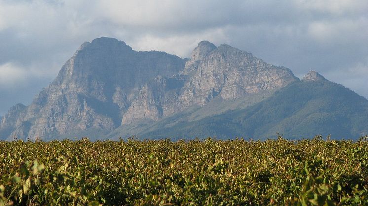 Miljövänlig nyhet! Fairtrade Pinotage på PET från Sydafrika