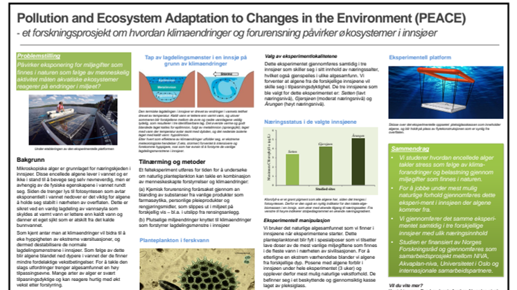 Pollution and Ecosystem Adaptation to Changes in the Environment (PEACE)