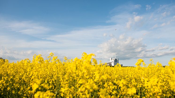 Fotograf: Petter Duvander