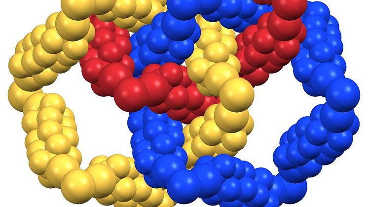 Representation of the Supramolecular Borromean Network obtained by the Politecnico di Milano researchers
