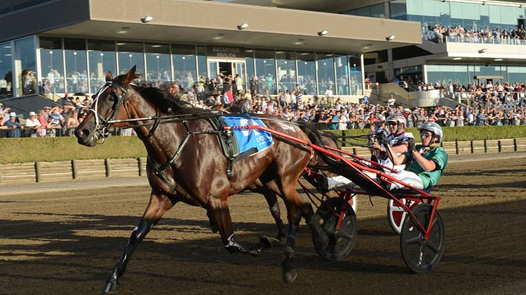 Maori Time inbjuden till Elitloppet