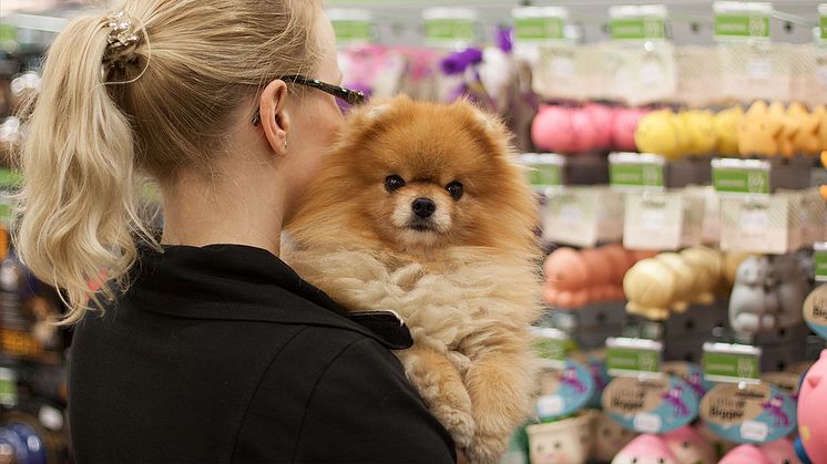 Arken Zoo och VetAtHome inleder samarbete för att erbjuda djursjukvård i butiksmottagningar och genom ambulerande veterinärtjänster