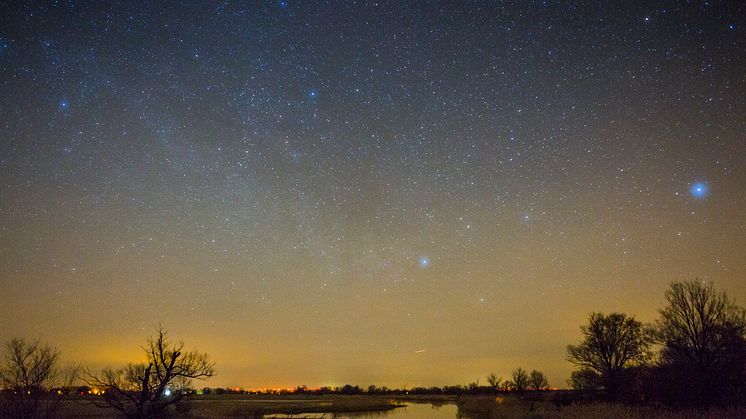 Bei schönem Wetter und mit etwas Glück kann man am 12. August im Havelland Sternschnuppen entdecken. Foto: TMB-Fotoarchiv/Steffen Lehmann. 