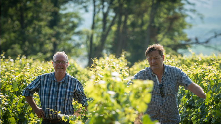 ​Magisk chardonnay från hyllat samarbete!