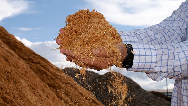 Avverkningsrester som sågspån, lignin och halm kan användas för att öka den svenska produktionen av biodrivmedel. Foto: Anders Haaker 