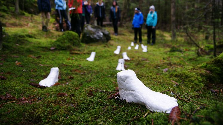 På söndag öppnar årets konststig vid Åleslån på Herrestadsfjället. Här syns en installation av konstnären Rory Botha från tidigare år.