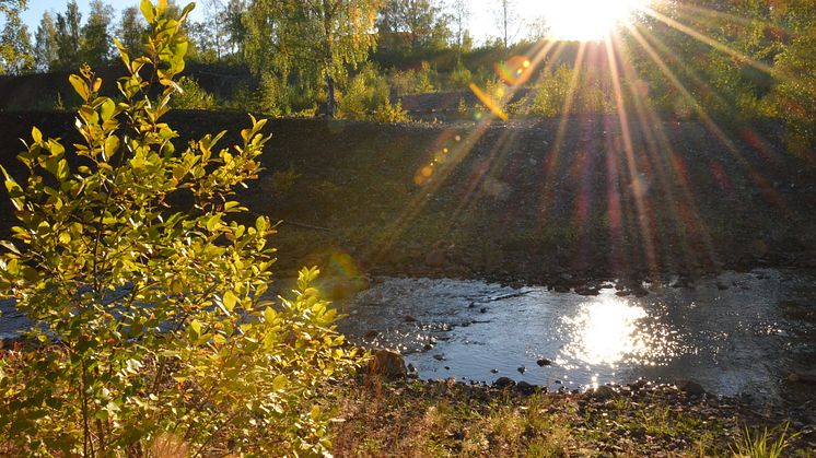 Högre risk för elpristoppar i vinter