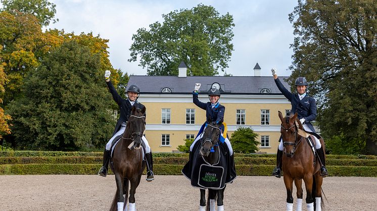Från vänster Martin Ågevall, Karin Persson och Mads Hendeliowitz, foto Roland Thunholm 