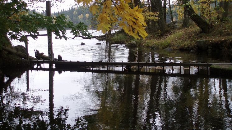 2018-10-15--16 Landskapsforum 2018: Vattnet i det brukade landskapet (foto: Ylva Nordin)