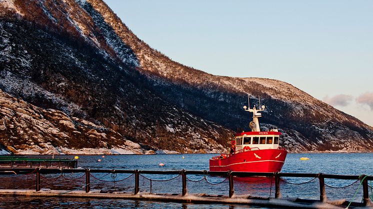 Cermaq’s input to the Norwegian Ministry of Industry and Fisheries regarding growth criteria for the salmon farming 