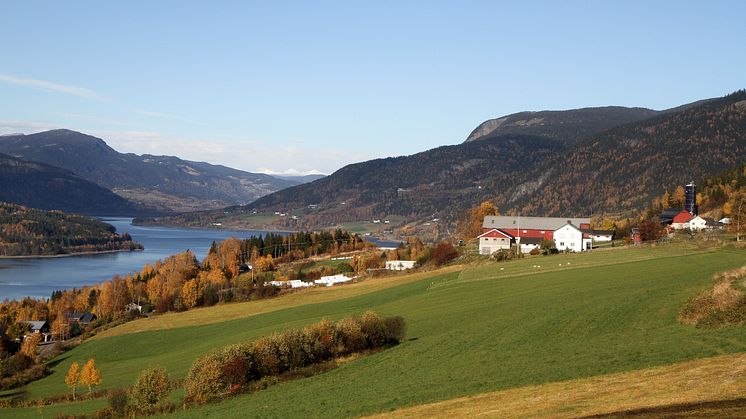 Vil ha politisk støtte til landbruksløft