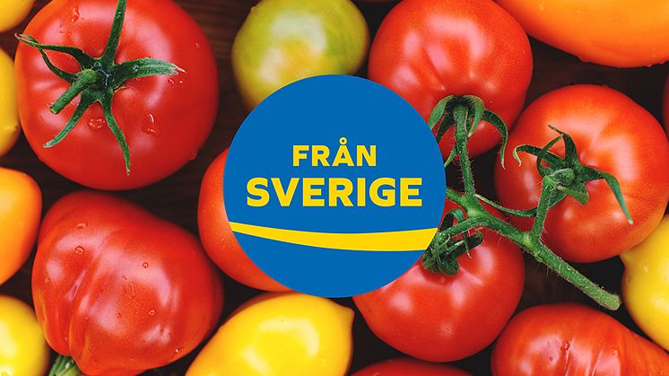 Efterfrågan på svenska tomater fortsätter att öka. 6 av 10 konsumenter vill köpa svenska tomater under säsong – trots det är knappt två av tio som säljs svenska. Svensk tomater är hållbart odlade och potentialen för ökad försäljning är stor.