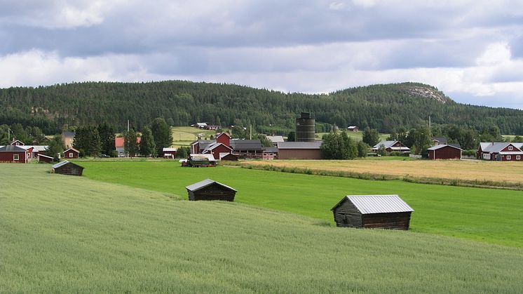 Lillpite årets by i Piteå kommun