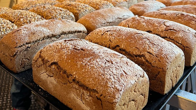 In Oskars Backfabrik entsteht Holzofenbrot und in der Weihnachtszeit auch Rosinen- und Mandelstollen. gebacken wird auch an Sonn-&Feiertagen_Foto Oskarshausen