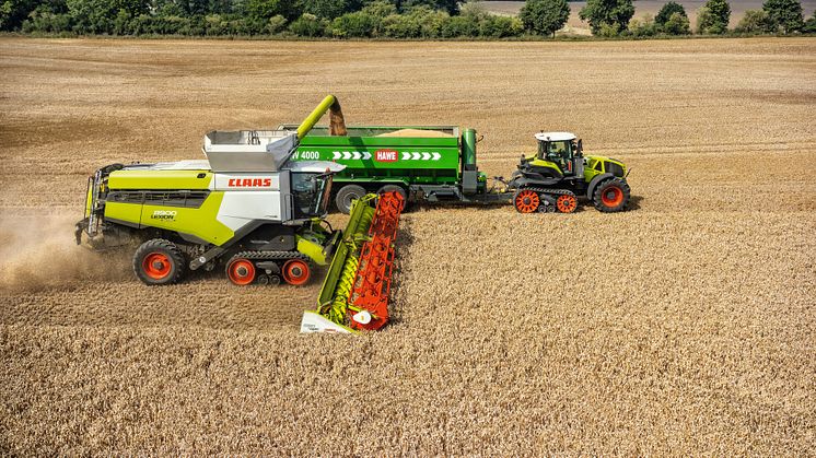 382379 LEXION combine harvester