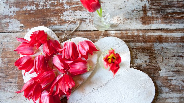 ​Botaniska och Blomsterfrämjandet bjuder in till en dag i vårens tecken