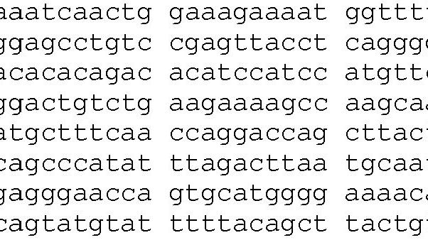 Nukleotider i DNA