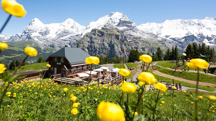 Allmendhubel, Mürren