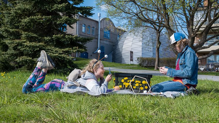 Smilla Olsson Peterson och Hannes Olsson Peterson utforskar bikorgen i parken nedanför Curiosum. Domteatern syns i bakgrunden.