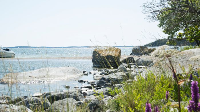 "Den värdefulla natur som finns i strandområden är viktig för den biologiska mångfalden. Vi tittar på att reglerna kring strandskydd följs, det vill säga att tillgängligheten till strandzonen inte begränsas eller försvåras."