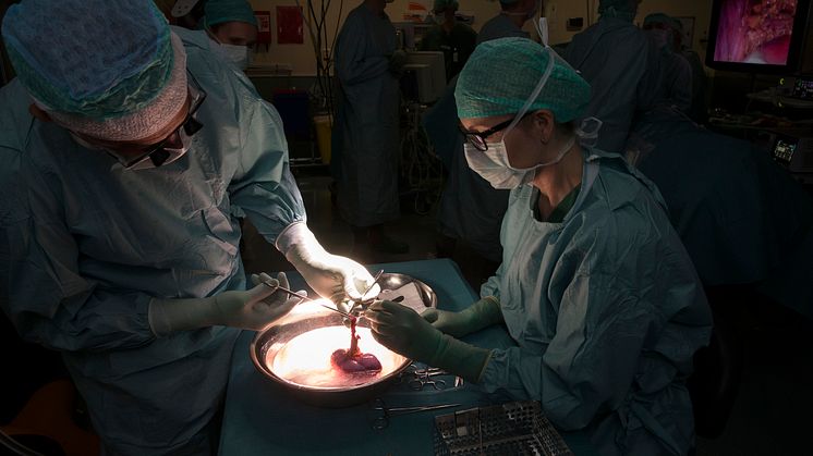 Så här långt har SUS genomfört 94 njurtransplantationer under 2017. Foto:Roger Lundholm