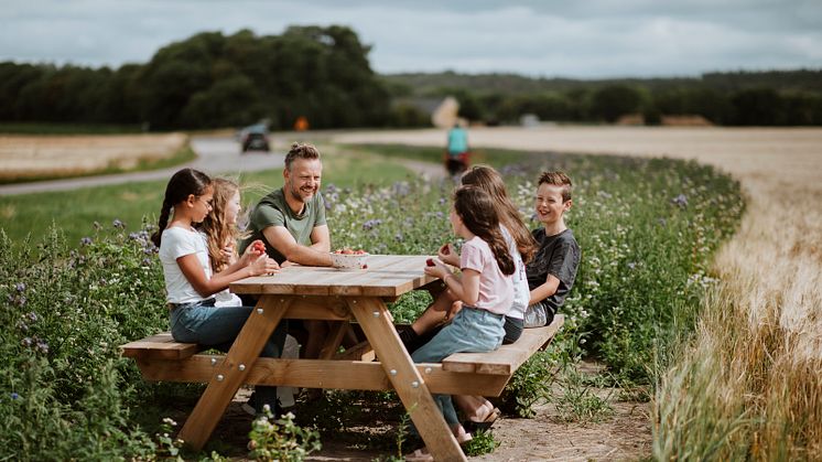 Visit Halland-ängen, till glädje för både människor och bin. Foto: Alexander Hall