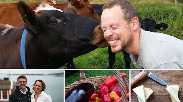 Vill du vara med i "Vi möter"?