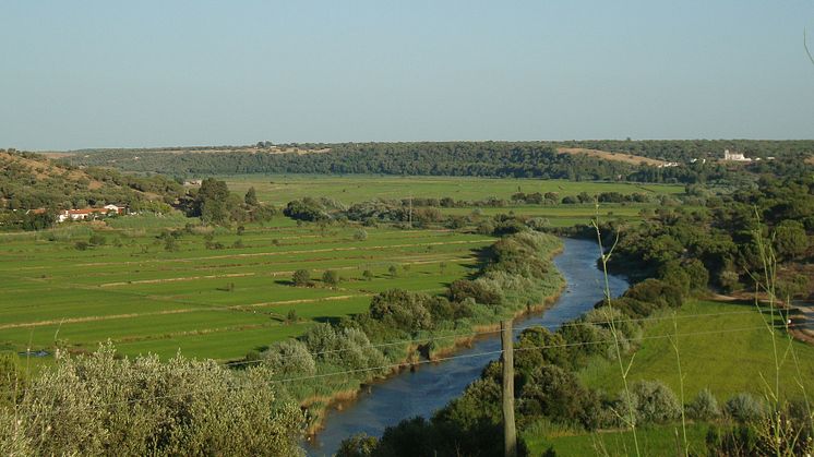 View from the archaeological site Arapouco towards the Sado Valley, Portugal. Photo: Rita Peyroteo-Stjerna