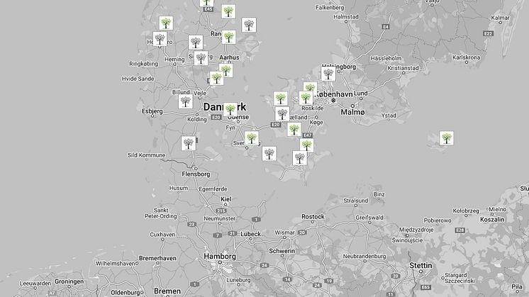 Skovbegravelse skal være muligt i hele landet