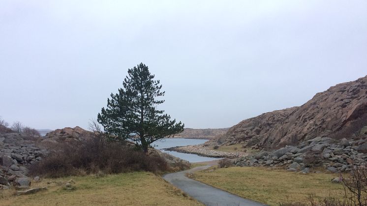 Varvet startar löparkvällar i Lysekil