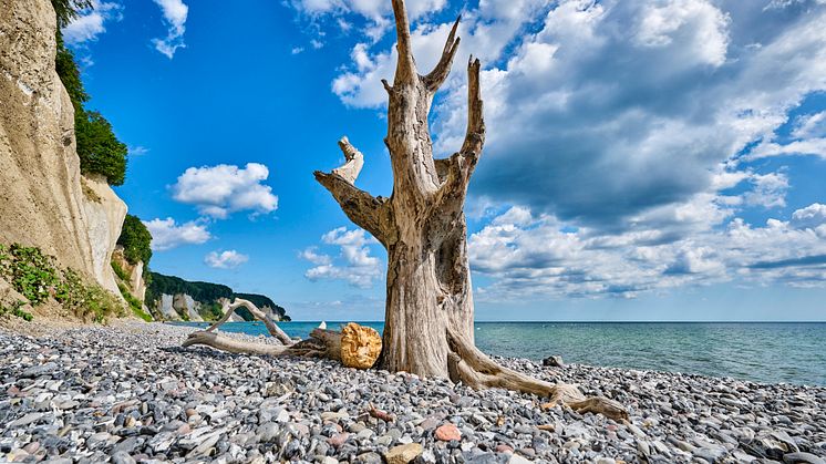 Sassnitz: cliffs with a view of the chalk cliffs © Florian Trykowski