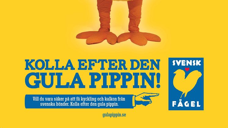 Nu ska Sverige kolla efter den Gula Pippin