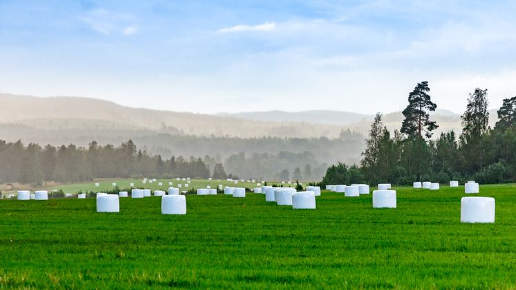 Überzeugend in Sachen Leistung: Bereits 5 Millionen Ballen wurden mit der innovativen Ballenwickelfolie von Trioworld, die auf recyceltem Material basiert, gewickelt.