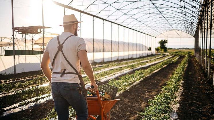 Nachhaltiges Düngen im Frühling mit Schafwollpellets